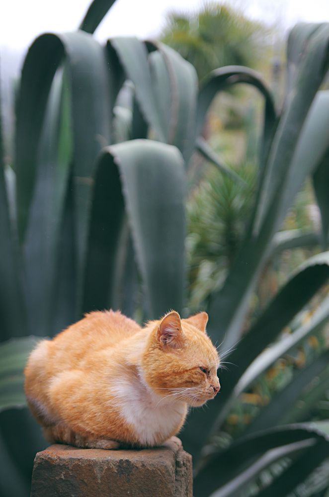 Photograph by Татьяна Москаленко