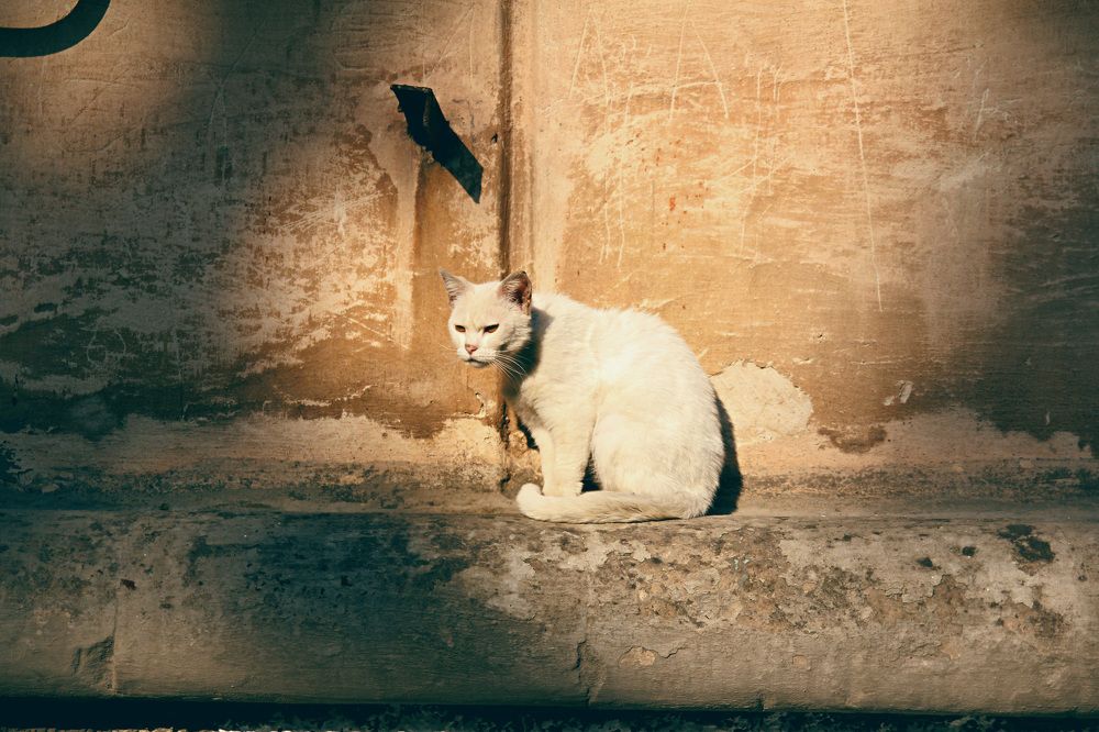 Photograph by Татьяна Москаленко