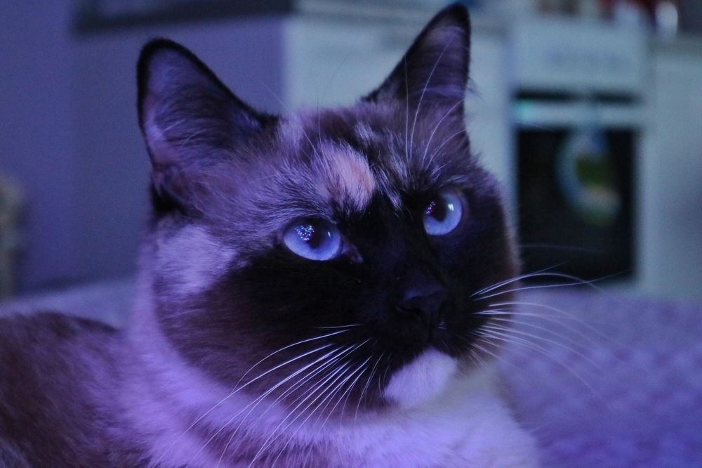 Photograph by Саша Жевлатов