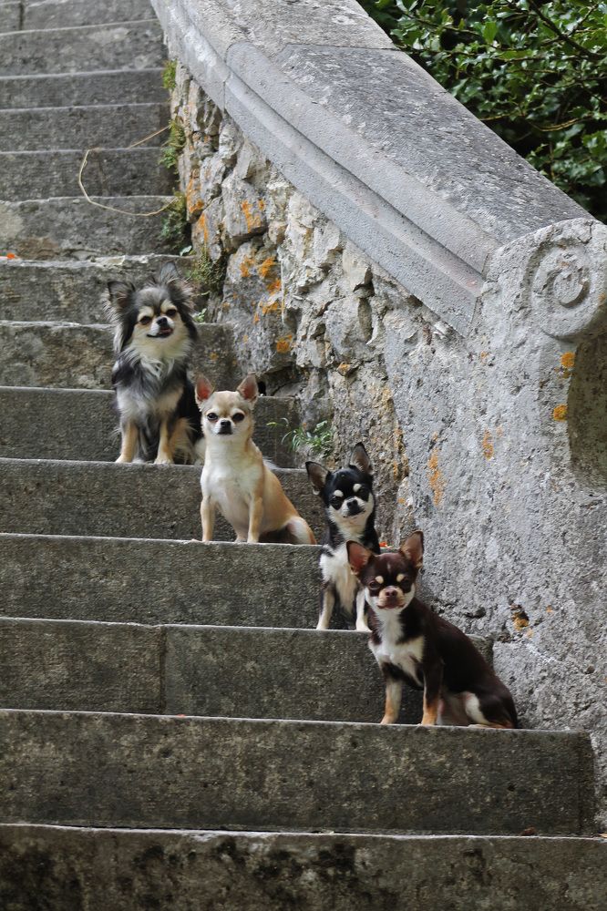 Photograph by Диана Ульянцева