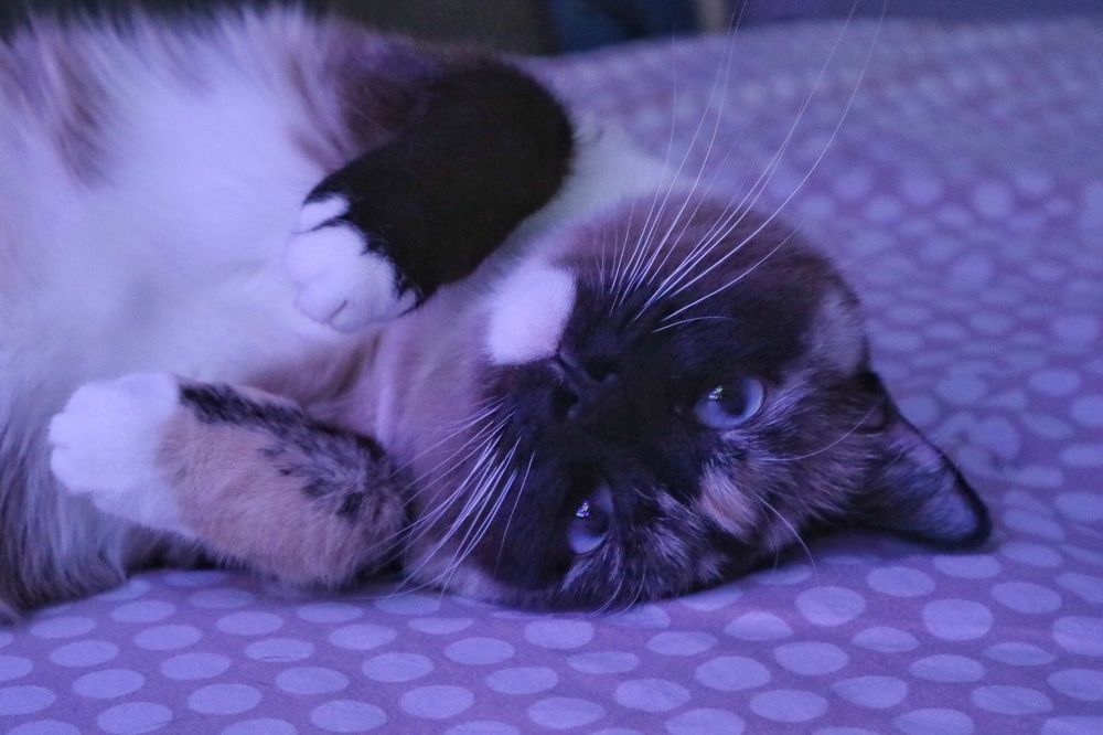 Photograph by Саша Жевлатов