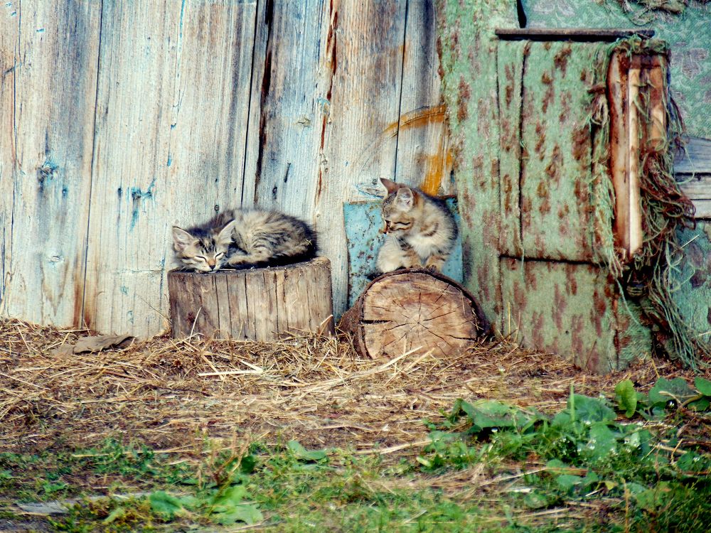 Photograph by Динара Богатырева