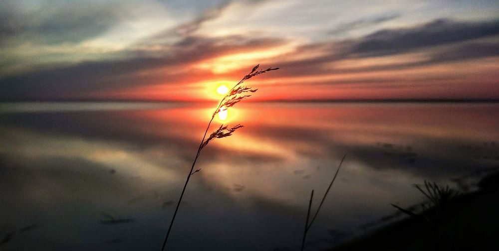 Photograph by Natalie Dmay