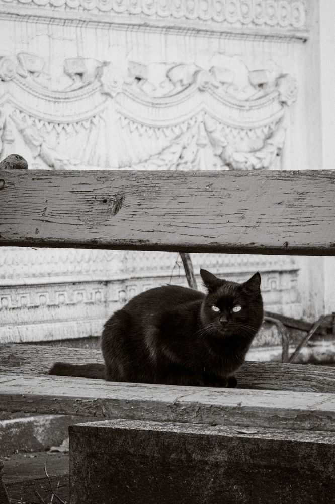 Photograph by Nataly Kiru