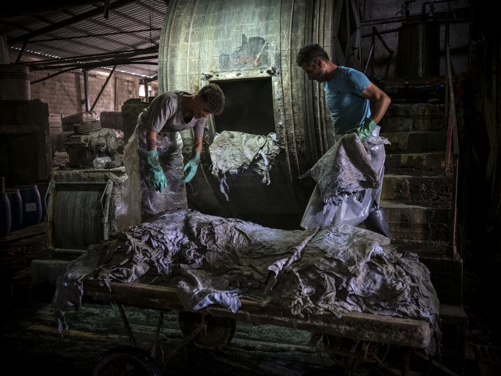 Фотография автора Aylin Turnator