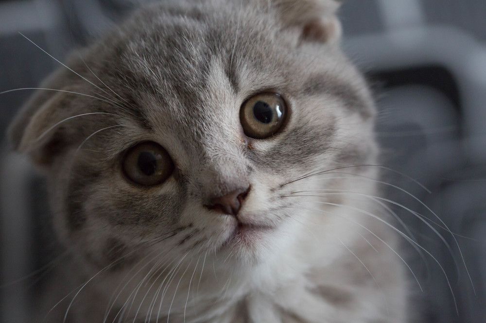 Photograph by Natalya Snegovaya