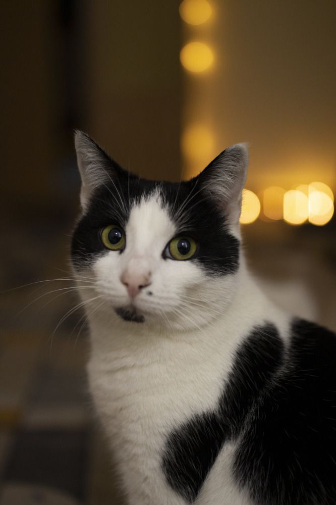 Photograph by Карина Кулиева