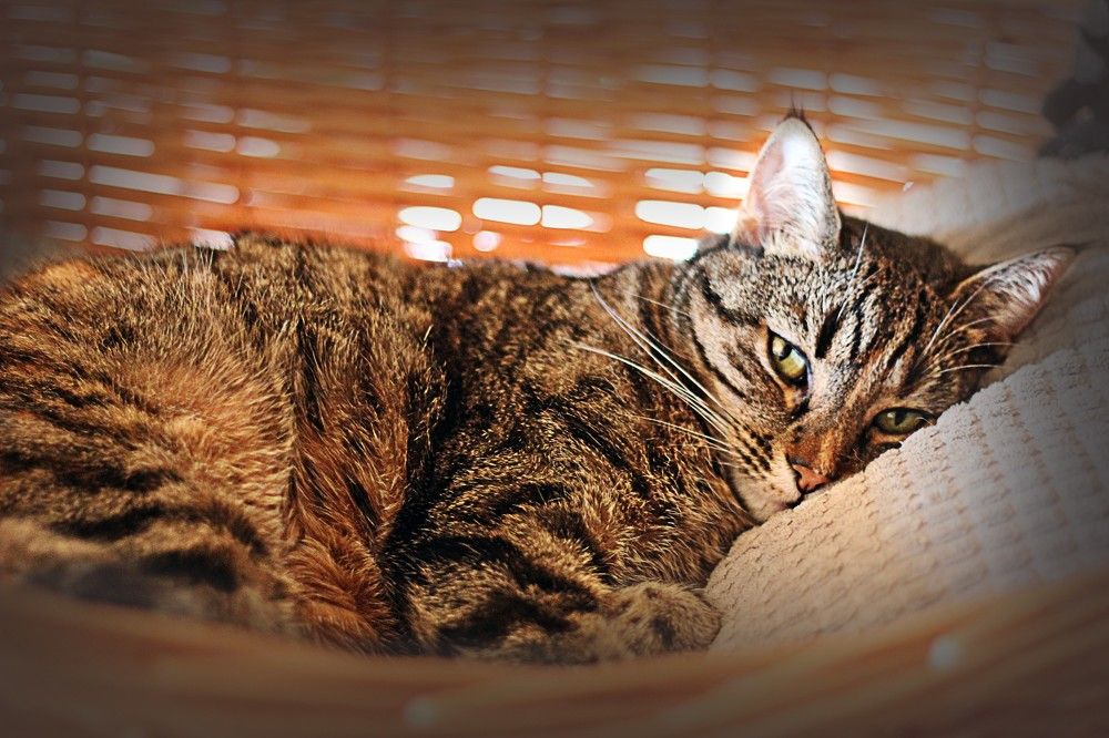 Photograph by Lena Feldman