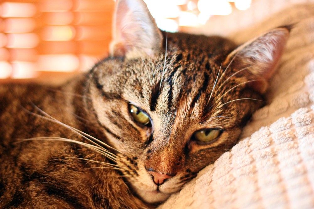 Photograph by Lena Feldman