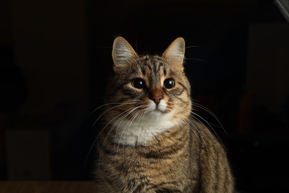 Photograph by Карина Кулиева