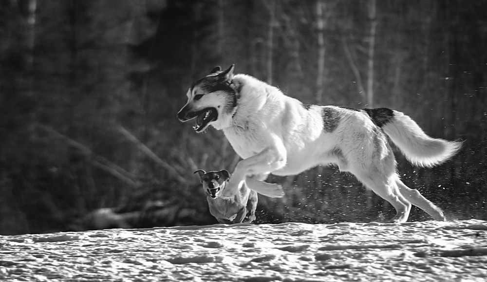 Photograph by Татьяна Шандромайло