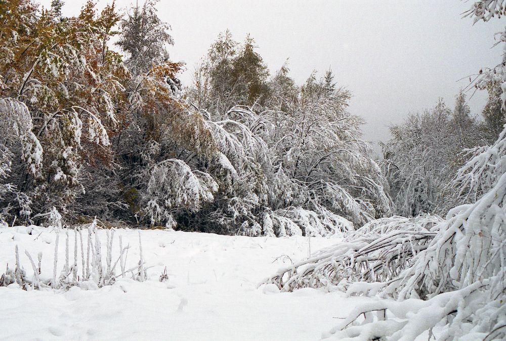 Photograph by Максим Рати