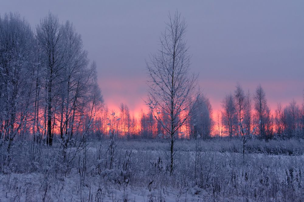 Photograph by Максим Рати