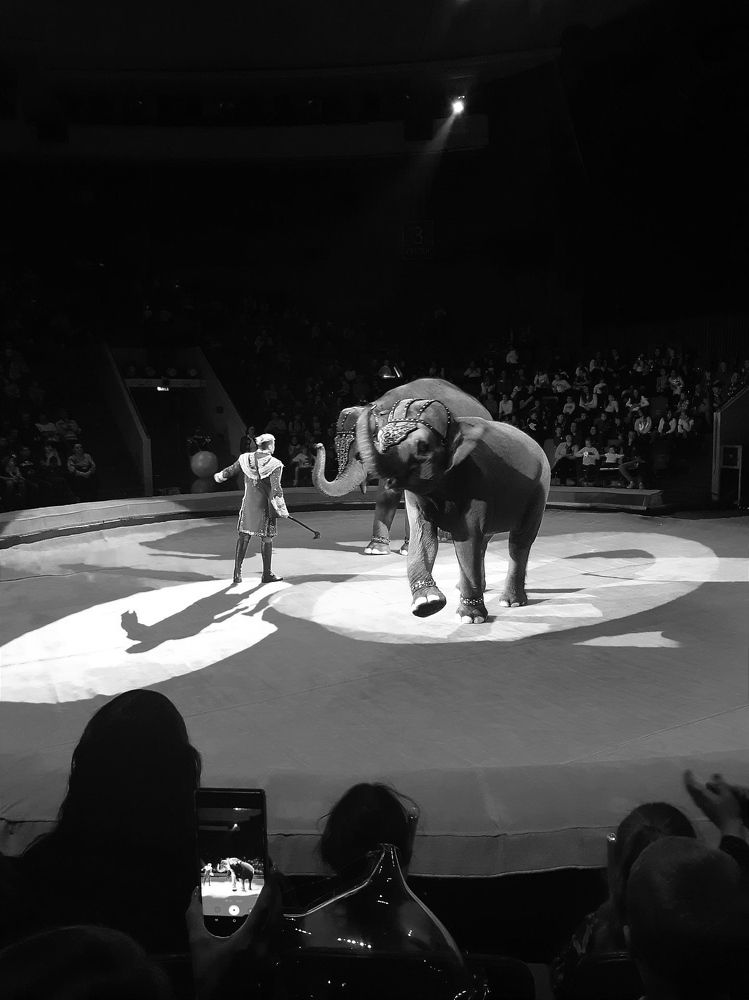 Photograph by Ирина Данилова