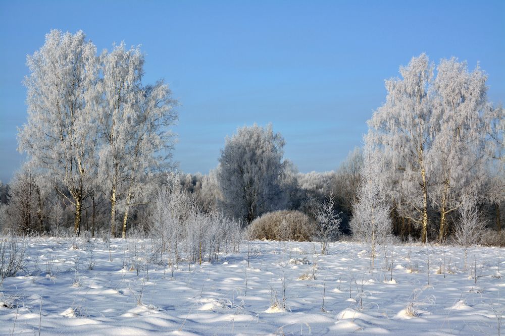 Photograph by Максим Рати