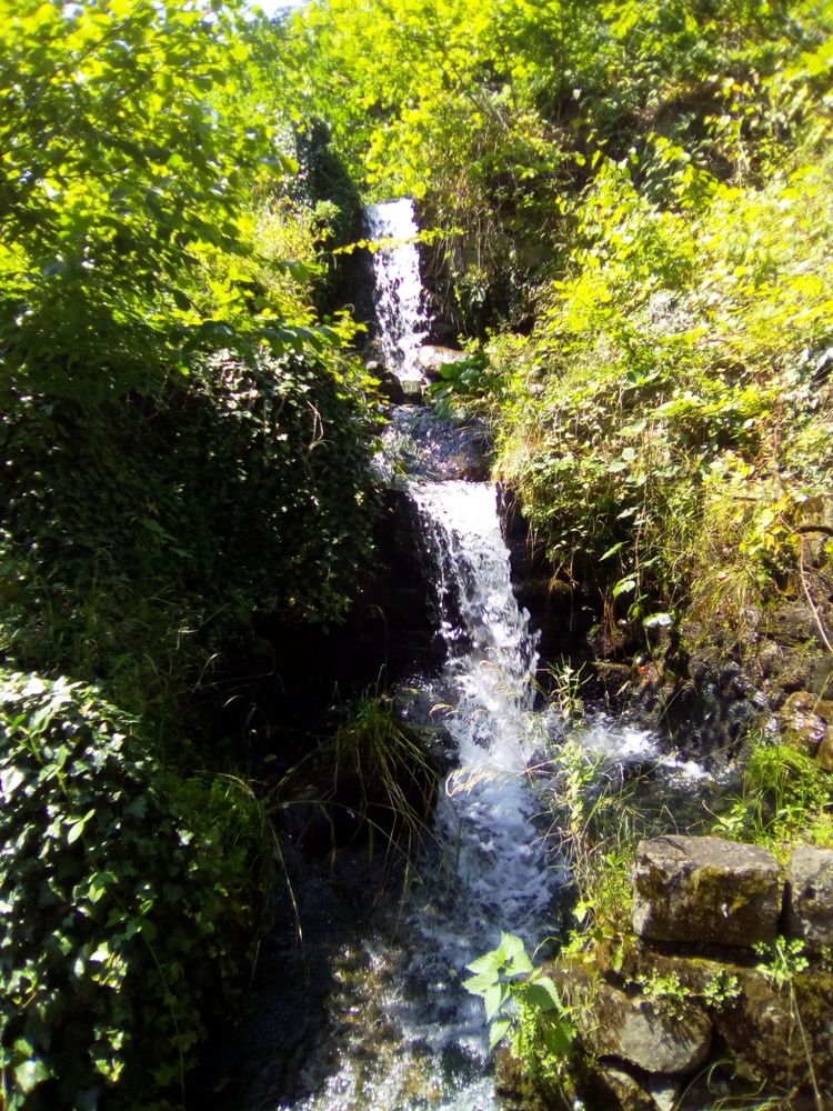 Photograph by Алмерия Монева