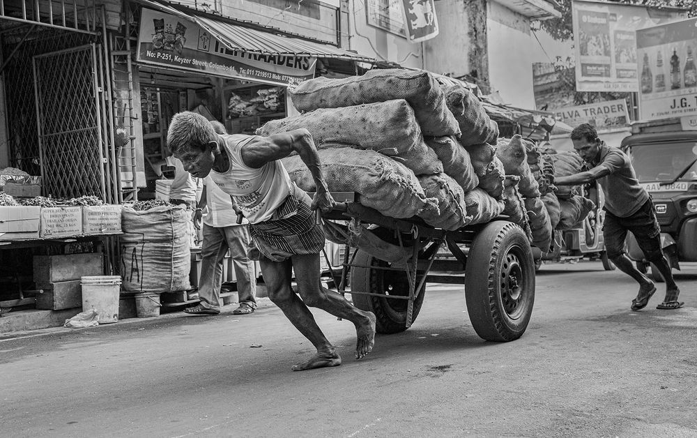 Photograph by Laddu Sasindu Pramuditha De Silva