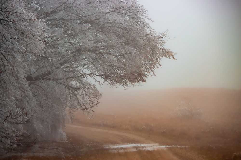 Photograph by Gabi Iurea