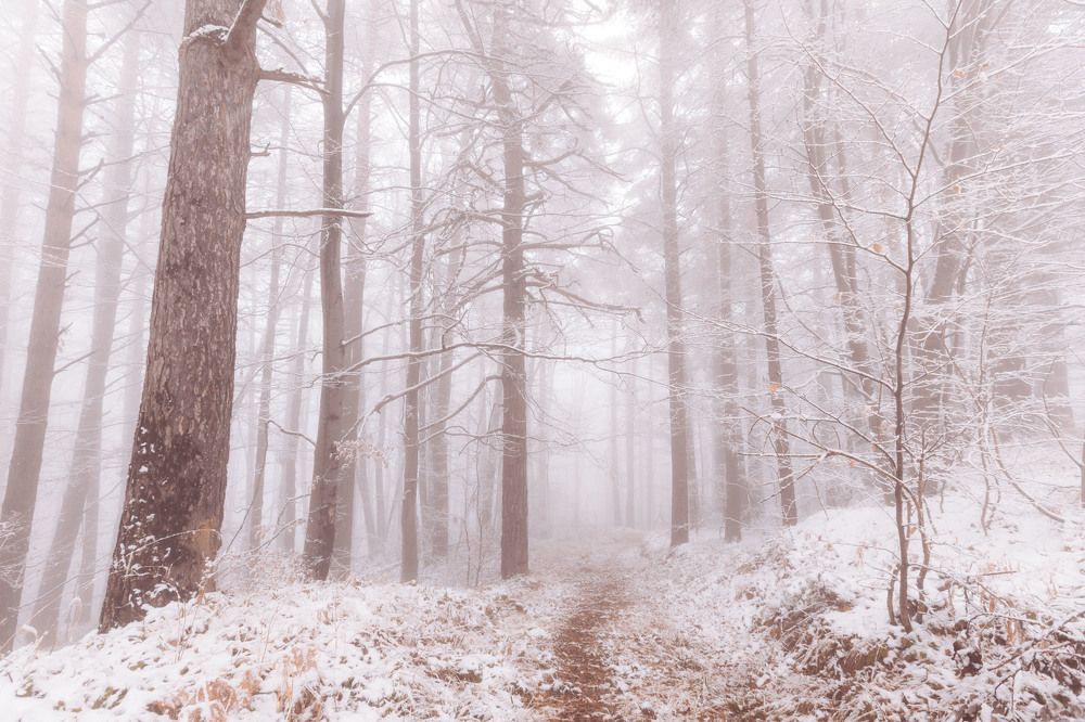 Photograph by Трайко Байко