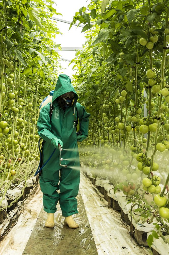 Photograph by Sarti Camilo