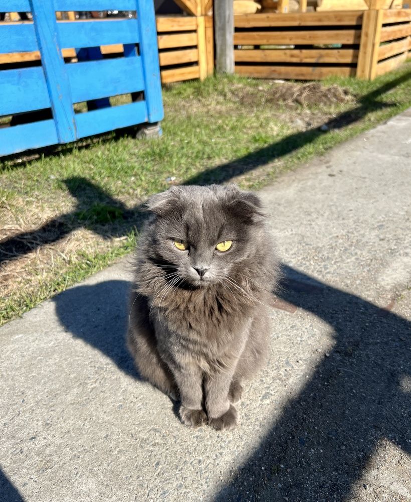 Photograph by Александра Акси