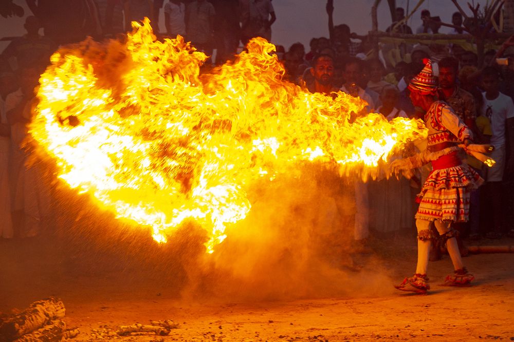 Фотография автора Laddu Sasindu Pramuditha De Silva