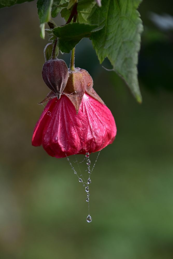 Photograph by Светлана Ивановна