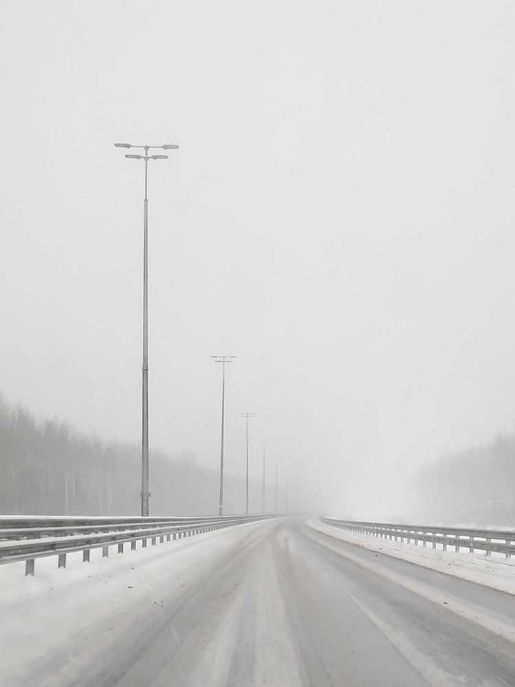 Photo #8673578