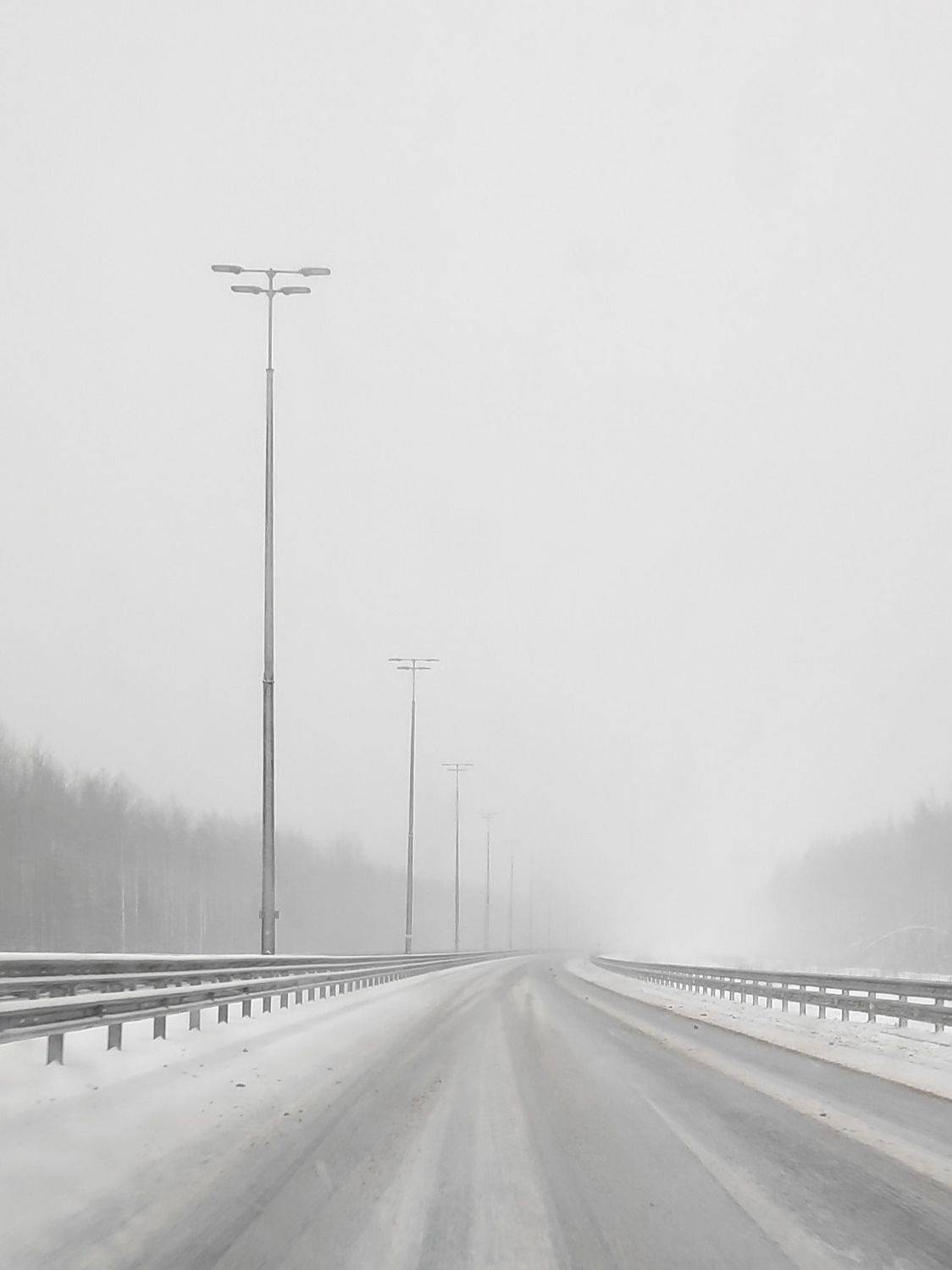 Photo #8673578