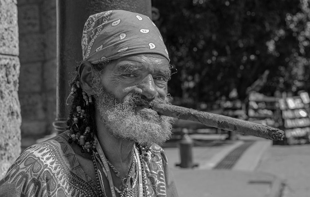 Фотография автора 