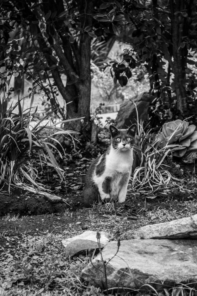 Фотография автора Jose Marcos Carvajal Tarazona