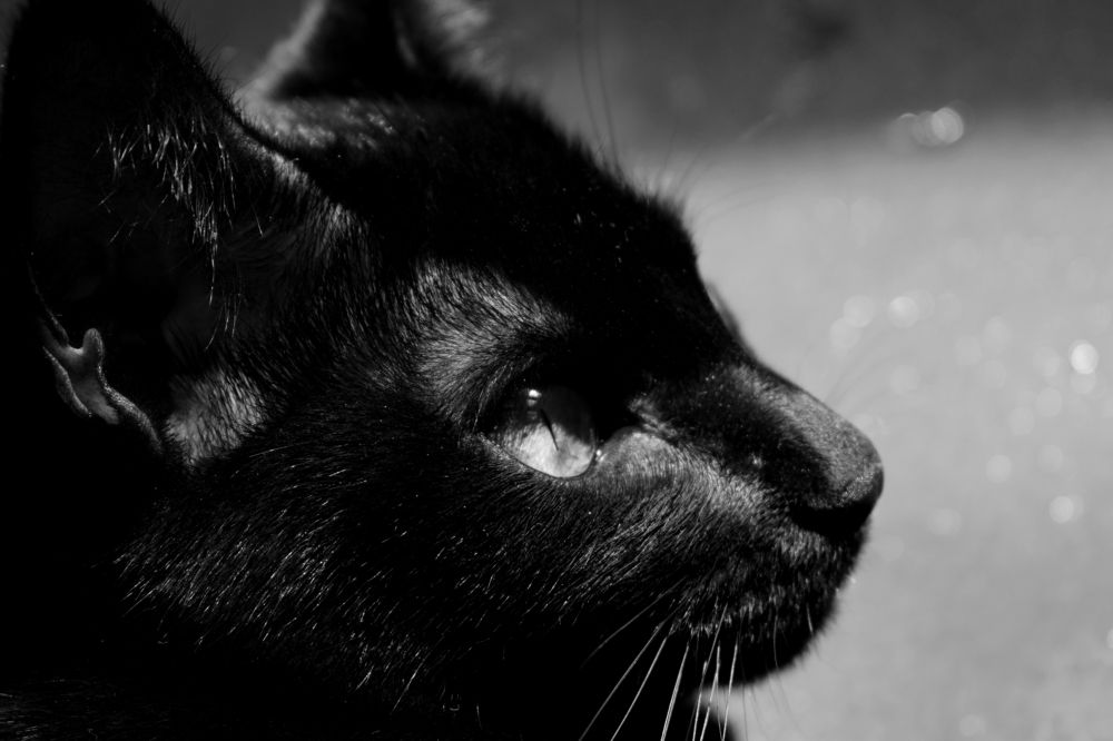 Фотография автора Jose Marcos Carvajal Tarazona