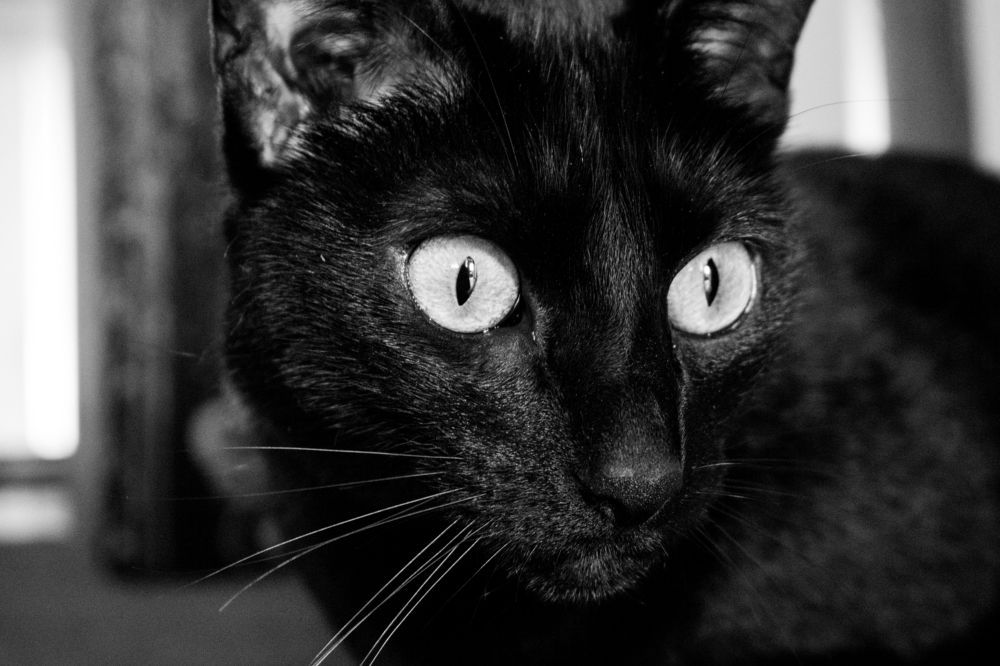 Фотография автора Jose Marcos Carvajal Tarazona