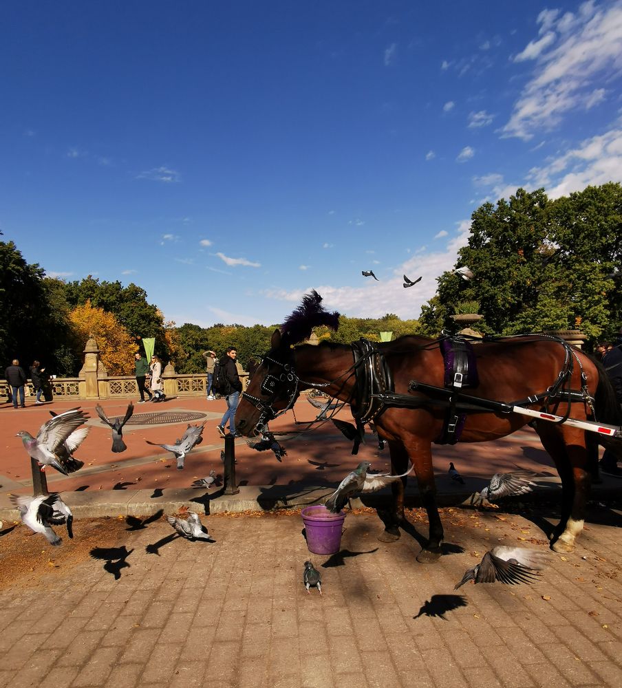 Photograph by Екатериина