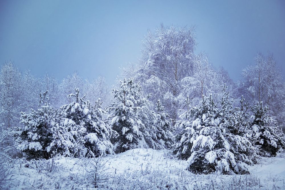 Photograph by Андрей