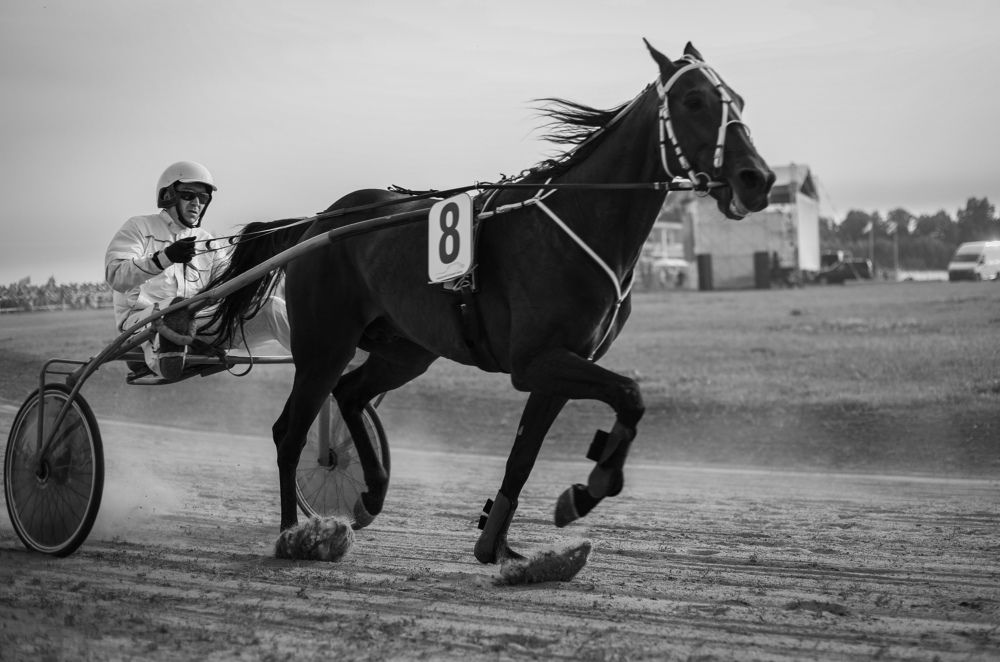 Photograph by Екатерина