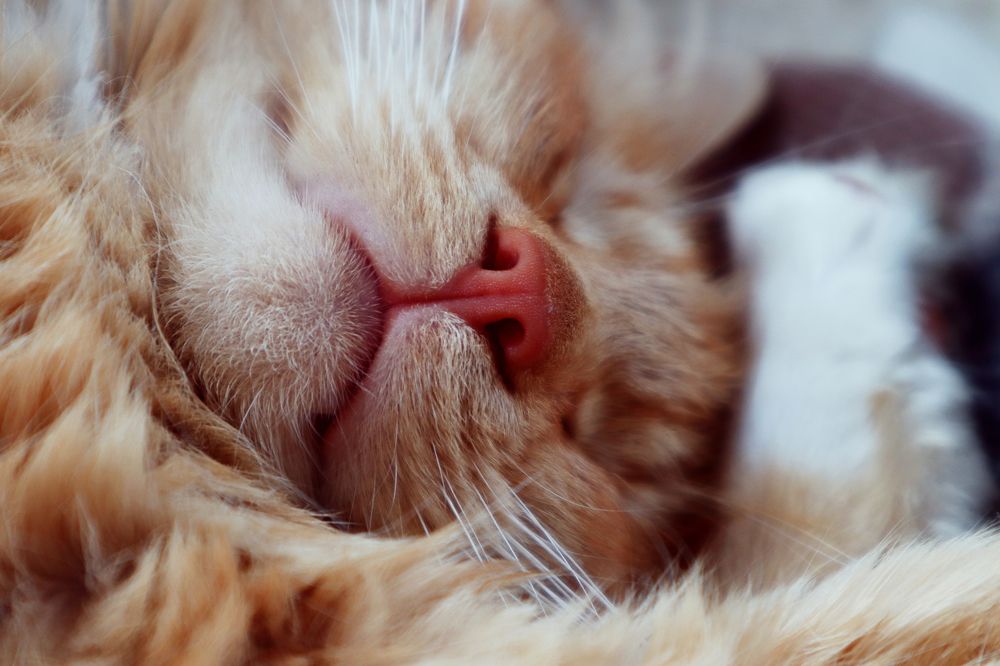 Photograph by Мария Самолевич