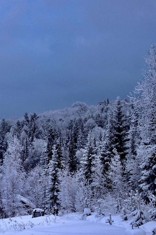 Фотография автора Елена Коробкова