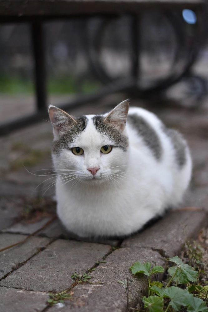 Photograph by Elvira