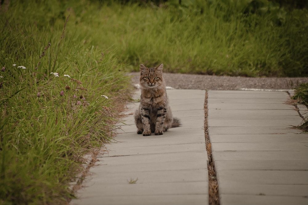 Photograph by Elvira