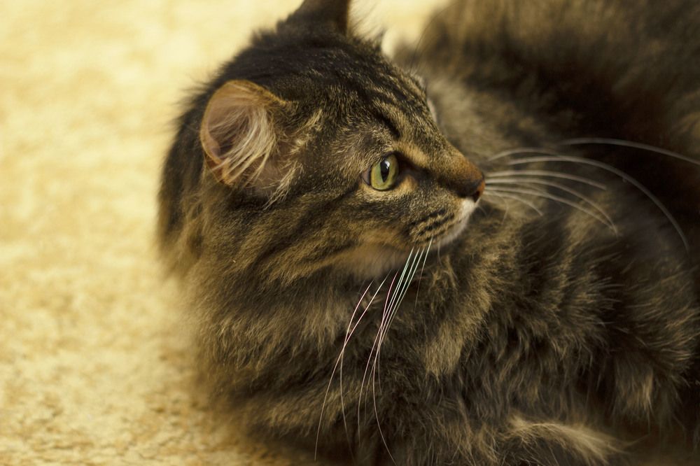 Photograph by Светлана Зотова