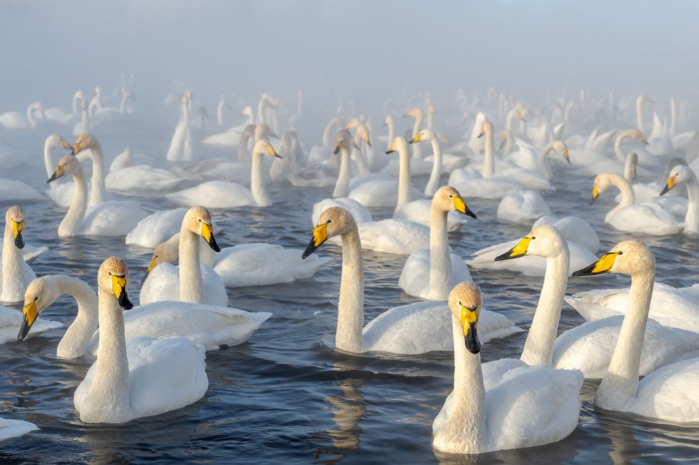 Photograph by Илья Труханов