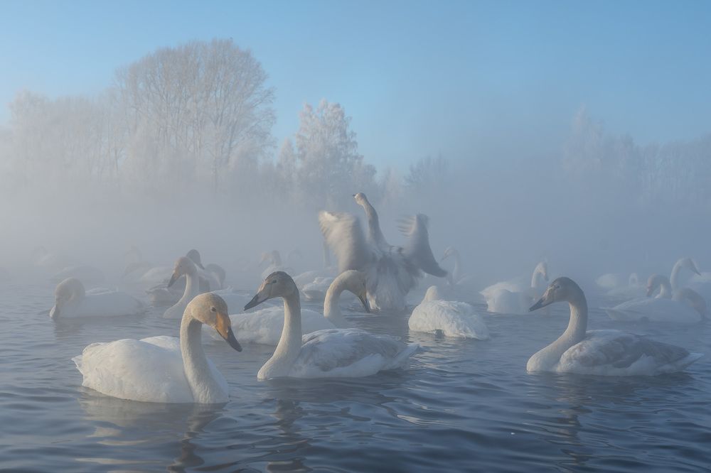 Photograph by Илья Труханов