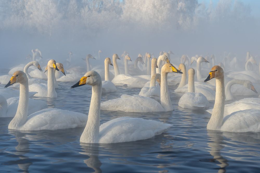 Photograph by Илья Труханов