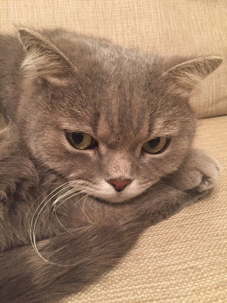 Взгляд (Glance)