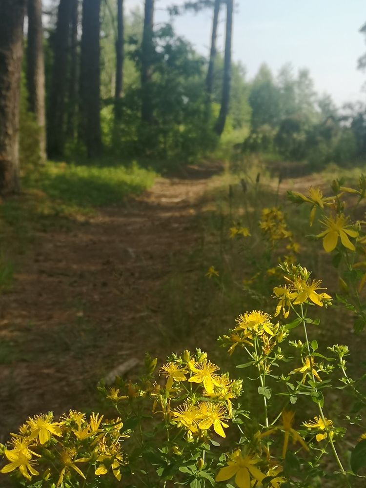 Photograph by Екатерина Борисовна Кузьмина