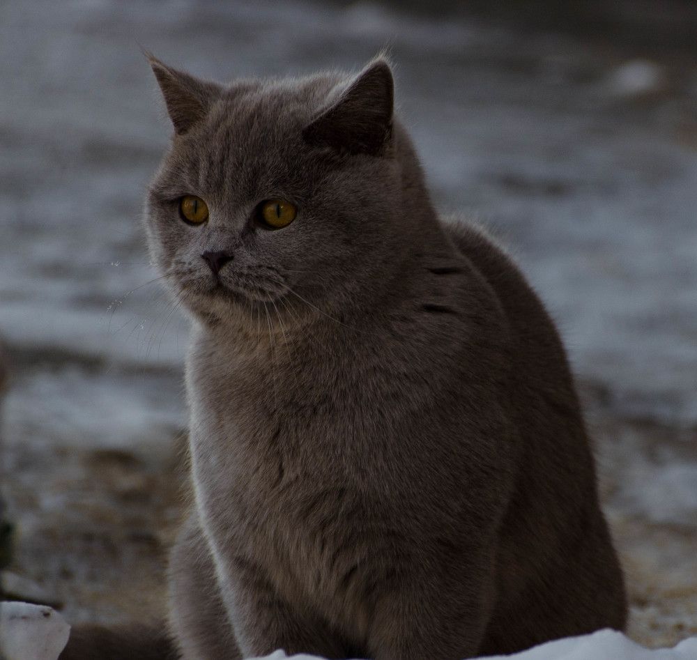 Photograph by Леонид Оплетаев