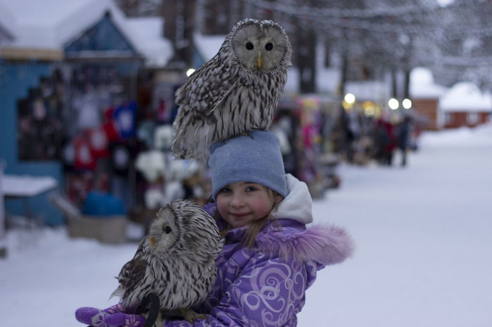 Photograph by Светлана Зотова