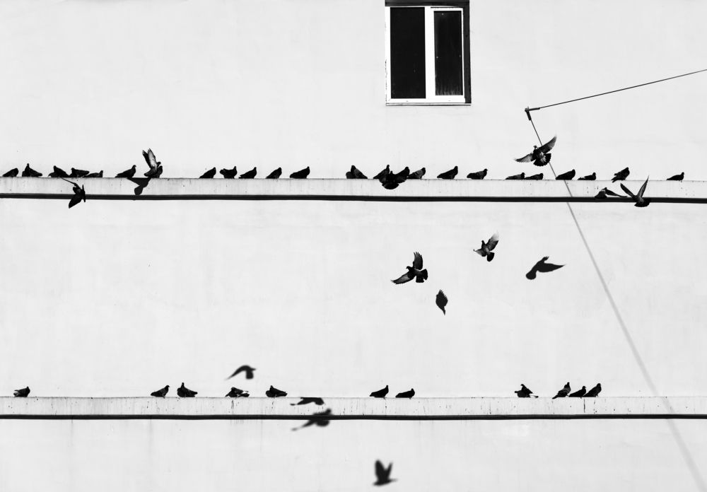 Весеняя мелодия.