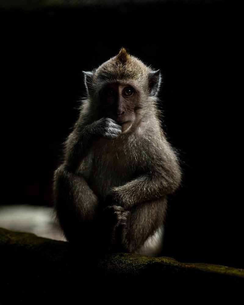 Photograph by Могилевич Elena